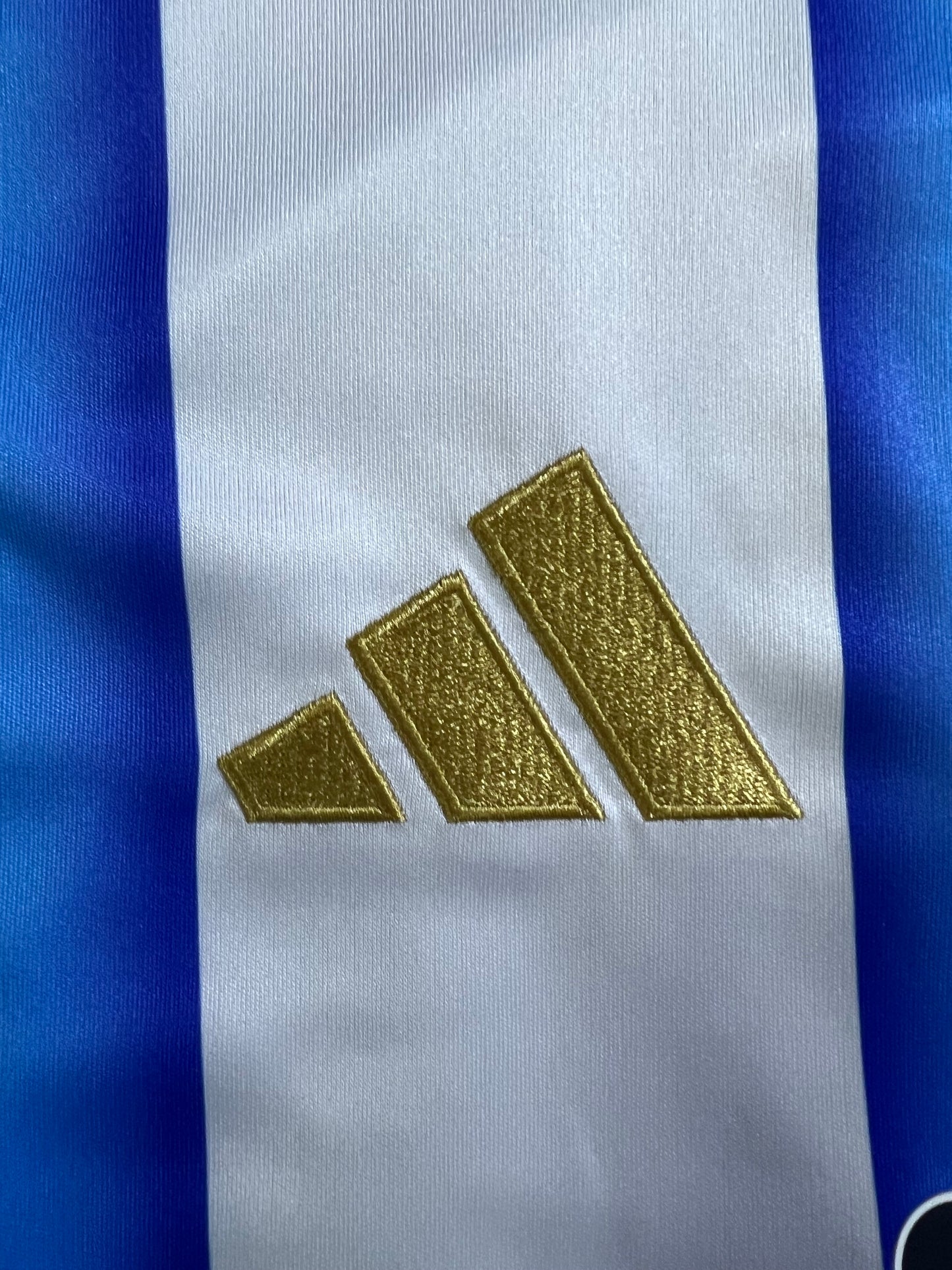 [TAM P, M] Camisa Argentina  l 2026- Messi#10 - Torcedor | FutMantos
