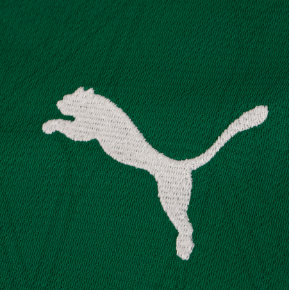 Camisa Palmeiras 25/26 - | Futmantos