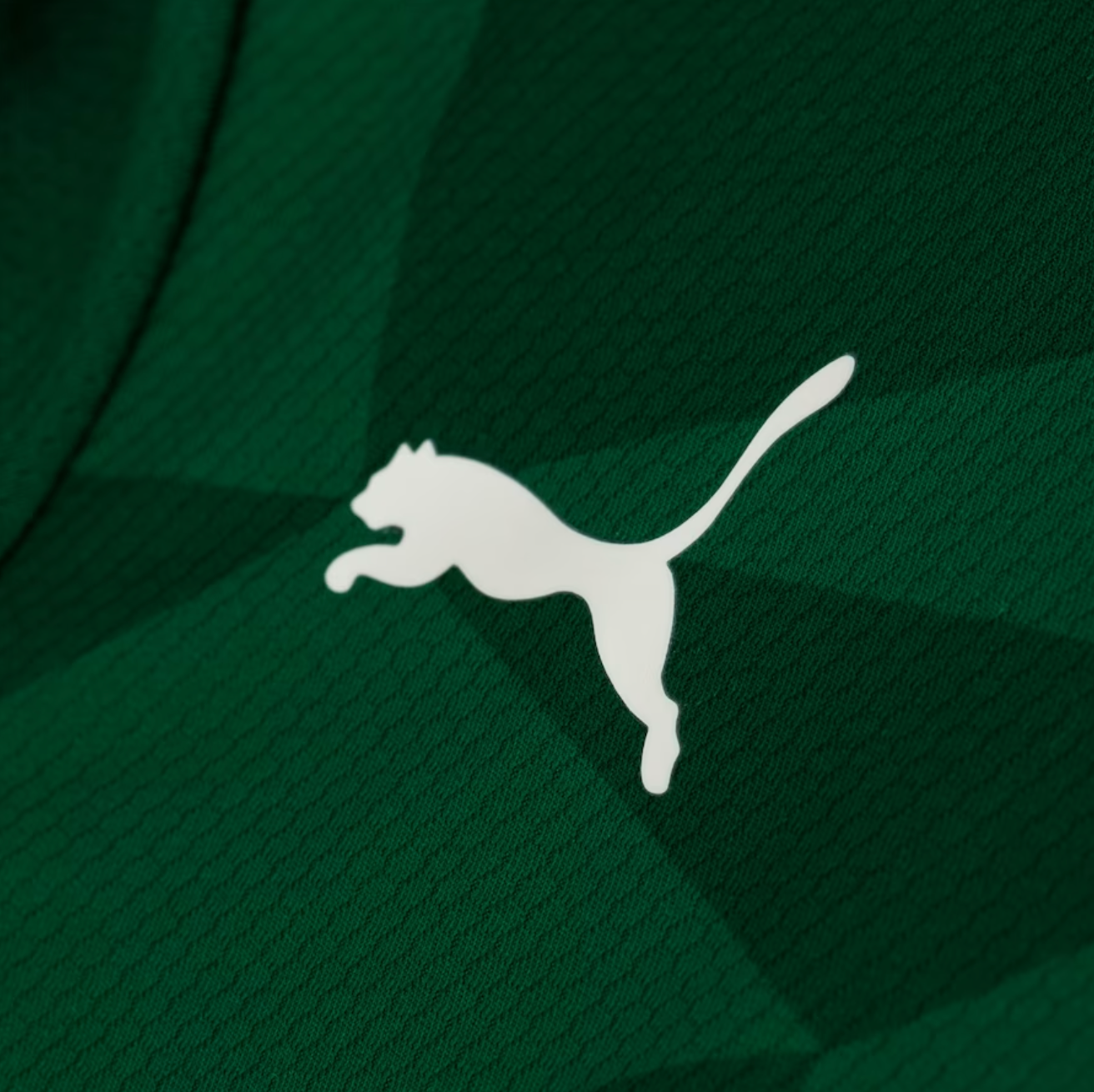 Camisa Palmeiras I 23/24 - Verde | Futmantos