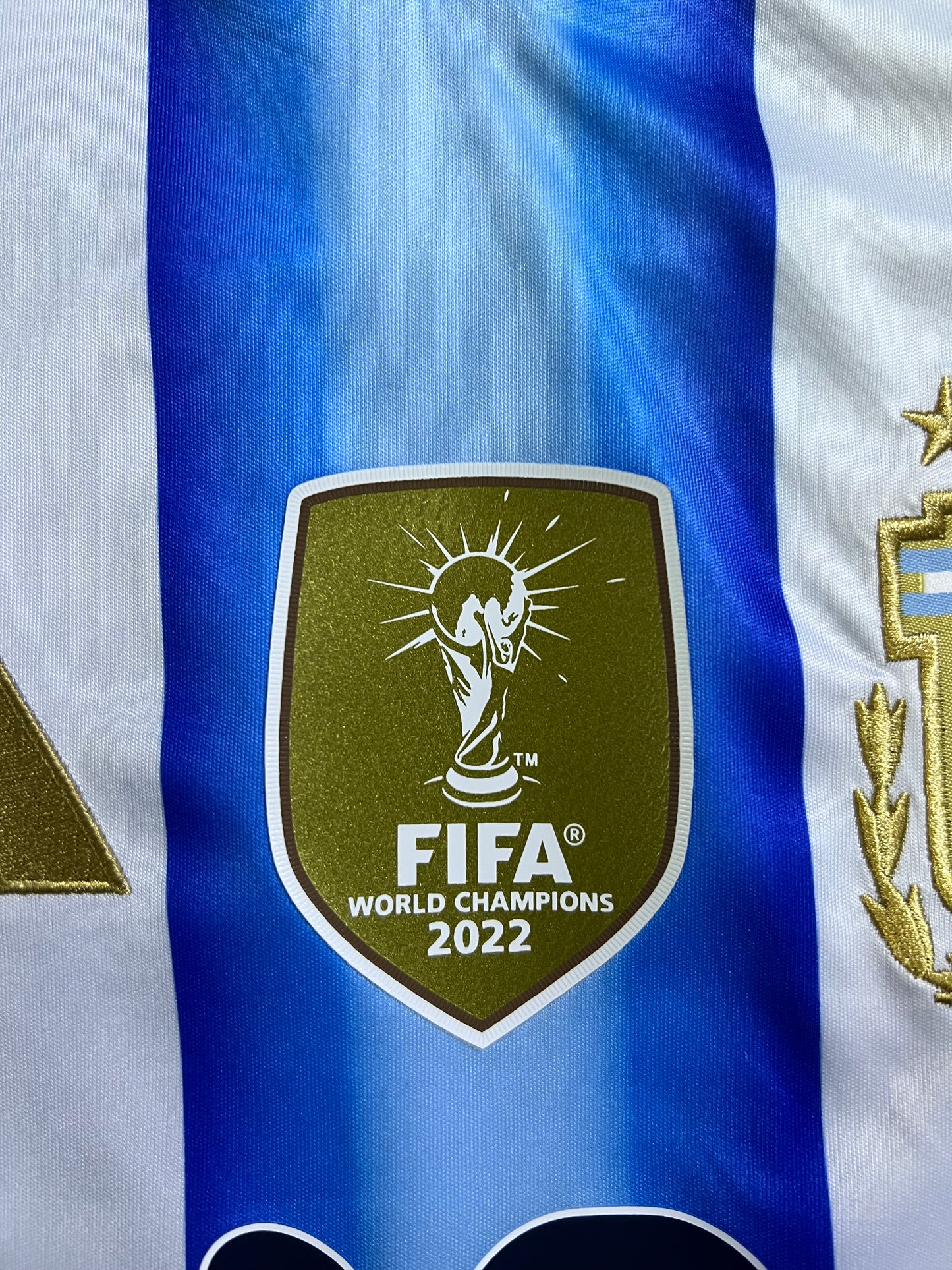 [TAM P, M] Camisa Argentina  l 2026- Messi#10 - Torcedor | FutMantos