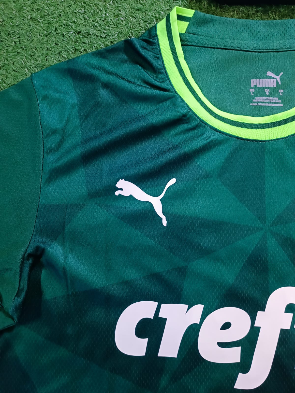 Camisa  Palmeiras 2023/24 -Jogador | FutMantos